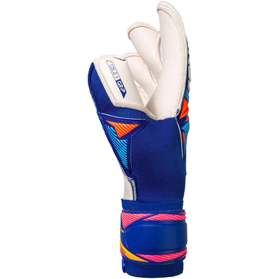 Reusch Attrakt Gold X Evolution `26 Blue*