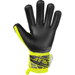 Reusch Attrakt  Freegel Gold X '25