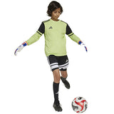adidas SQUADRA 25 GK JSY Jr JJ1940*