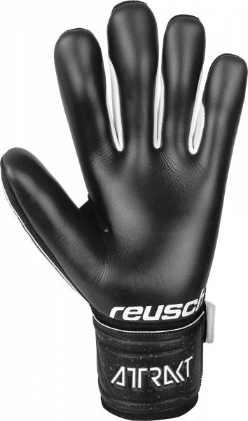Reusch Attrakt Infinity 21`
