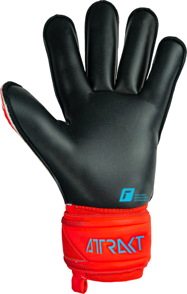 Reusch Attrakt Gold Roll Finger 23`