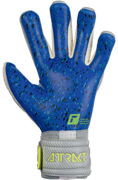 Reusch Attrakt Fusion Guardian Adult 22'