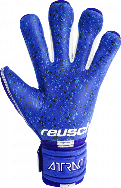 Reusch Attrakt Fusion ORTHO-TEC Guardian