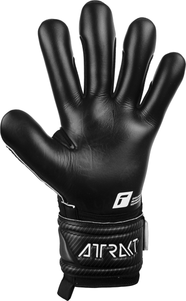 Reusch Attrakt Infinity*