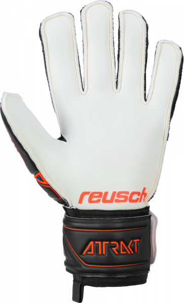 Reusch Attrakt SG