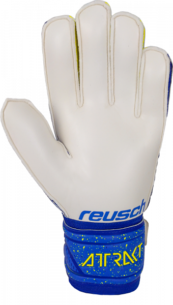 Reusch Attrakt Solid